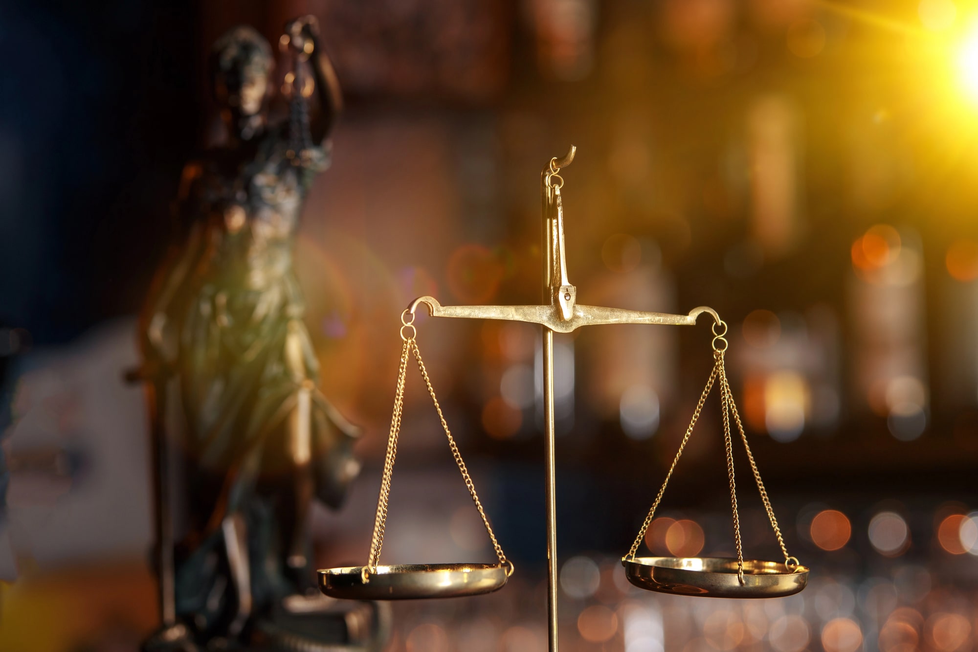 shoplifting lawyer
